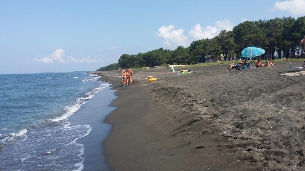 Saba Ξενοδοχείο Shekhvetili Εξωτερικό φωτογραφία